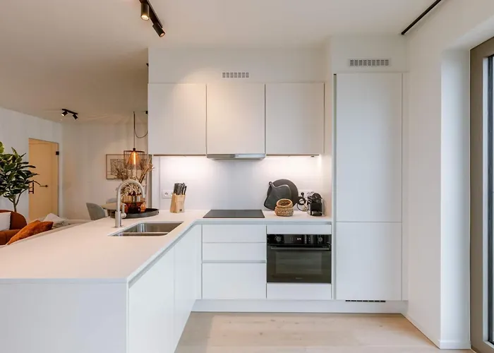 公寓 Luxury Seaview With Free Private Parking 奥斯滕德